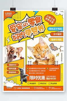 探秘宠物食品 选择与健康的平衡艺术